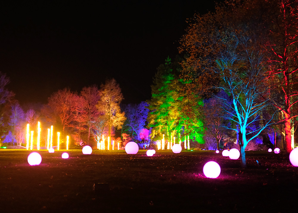 RHS Landscape with LED lighting installations